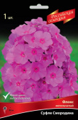 Флокс метельчатый Суфле Смородина (цветки яркие сиренево-малиновые с пурпурным колечком,1шт, I)