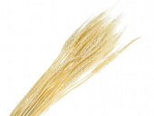 Колосья пшеницы, 80 см цвет натуральный  