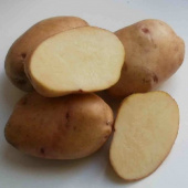 Картофель семенной Крепыш, 3 кг