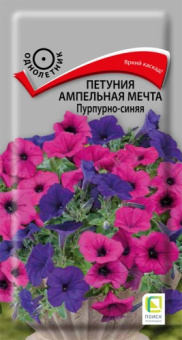 petunia_ampel_mechta_purpurno_sinyaya