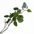 Ветка искусственная Эвкалипт, цвет зеленый, 68 см