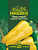 Перец Бизон желтый серия Юбилейный 25шт (Гавриш)