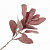 Растение искусственное Цинерария, цвет в ассортименте, 38 см