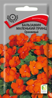 balzamin_malenky_prince_orange