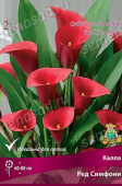 Калла Ред Симфони 12-14/К 2шт