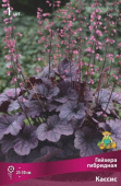 Гейхера гибридная Кассис/К