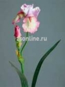 Искусственное растение Ирис лавандово-розовый 70см