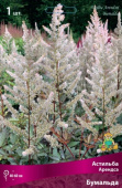 Астильба Арендса Бумальда/К