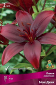 Лилия азиатская Блэк Джек 12-14/К 3шт