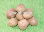 Картофель семенной Брянский деликатес (суперэлита),3кг