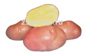 Картофель семенной Беллароза,3кг