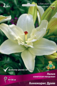 Лилия азиатская Аннемарис Дрим 12-14/К 3шт