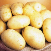 Картофель семенной Королева Анна, 3 кг