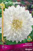Георгин декоративный Флёрел (белый, диаметр цветка 25см, 1шт, I)