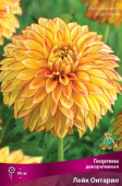 Георгина декоративная Лейк Онтарио I/К