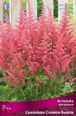 Астильба китайская Сенсейшн Сэлмон Бьюти, 1 шт