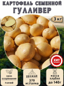 Картофель семенной Гулливер, 3 кг