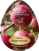 Яблоня Рождественское 2-х лет /подвой 54-118 полукарл/С