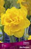 Нарцисс махровый Дик Вилден 12-14/К 5шт