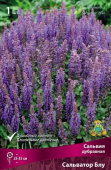 Сальвия дубравная (Шалфей) Сальватор Блу/К
