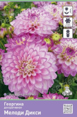 Георгина декоративная Мелоди Дикси I/К