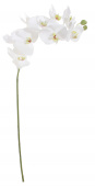 Цветок искусственный Фаленопсис, 70см, цвет белый 
