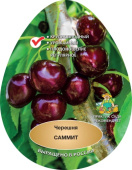 Черешня Саммит/С