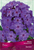 Флокс метельчатый Аметист (лилово-голубой,не выгорает на солнце,соцветие плотное,куст компактный) 1шт