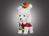 Собака пудель белый в красном рождественском колпачке с елочным шариком 5х9,5 см 