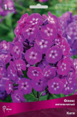 Флокс метельчатый Катя, пурпурный с белым центром, компактный, ароматный, 1 шт