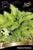 Хоста гибридная Миракл Лемони*/К