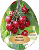 Черешня Бряночка/ЦКор