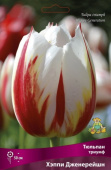 Тюльпан триумф Хэппи Дженерейшн 11-12/К 10шт