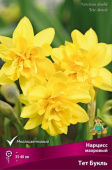 Нарцисс махровый Тет Букль 12-14/К 5шт
