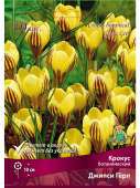 Крокус ботанический Джипси Гёрл 5+/К 10шт