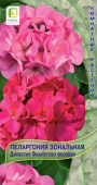 Пеларгония зональная Династия Фиолетово-розовая 5шт