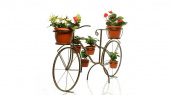 Садовый велосипед 53-601