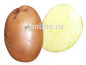 Картофель семенной Накра,3кг