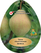 Груша Велеса/С