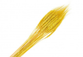 Колосья пшеницы, 80 см цвет кремовый 