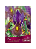 Ирис голландский Тайгерай 6-7/К 10шт