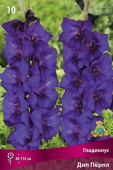 Гладиолус Дип Пёрпл 10-12/К 10шт