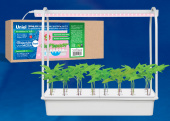Светильник для растений светодиодный линейный, 600мм.ULY-P90-10W/SPFR/K IP65 AC220V CLEAR KIT09 