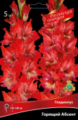 Гладиолус Горящий Абсент 10-12/К 5шт