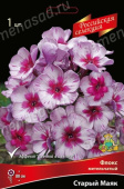 Флокс метельчатый Старый маяк*/К