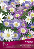 Анемона Бланда смесь окрасок 5-6/К 10шт