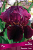 Ирис бородатый Джордж Спект (тёмно-бордовый, 1шт., I), П/№