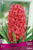 Гиацинт Садовый Вурбак, красный, 3 шт