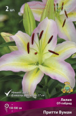 Лилия ОТ-Гибрид Притти Вуман, 2 шт