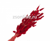 Ветки декоративные (лагурус) ,40г цвет красный  